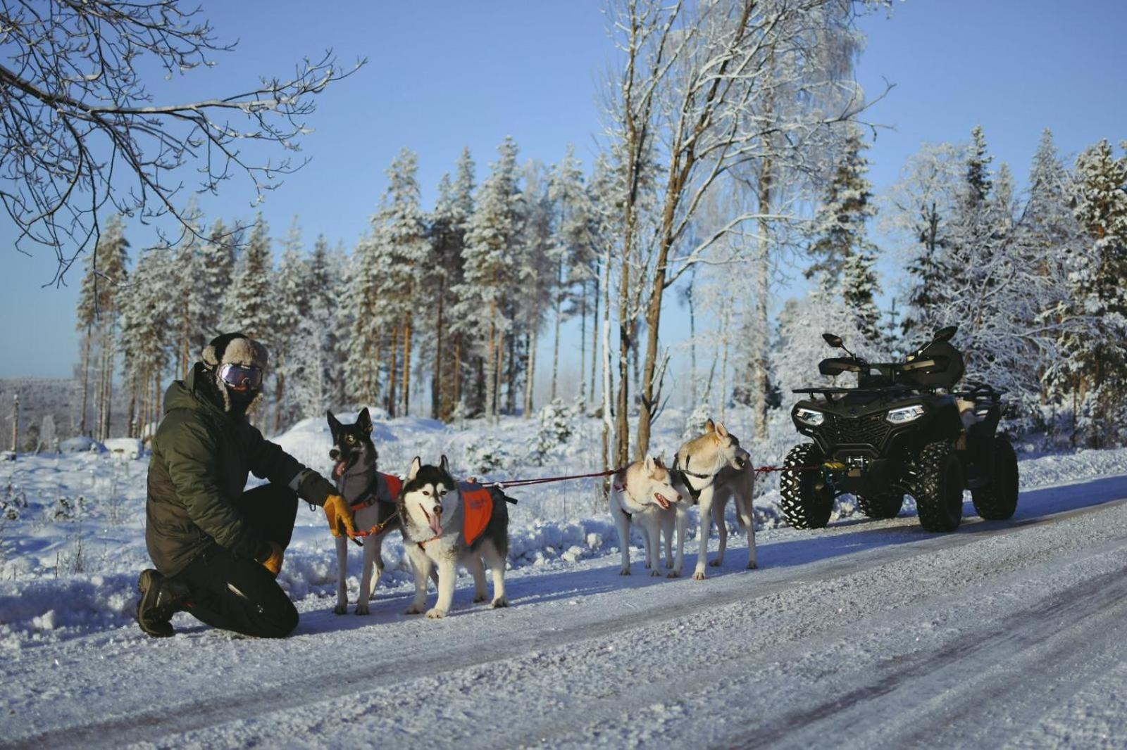 Arctic Ranch Villa Överkalix Eksteriør billede
